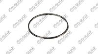 Кольцо глушителя TG-MR0009 / 9642494980 * Ti•GUAR